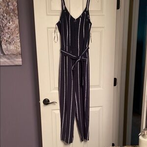 The Limited Blue and White Striped Jumpsuit with Belt